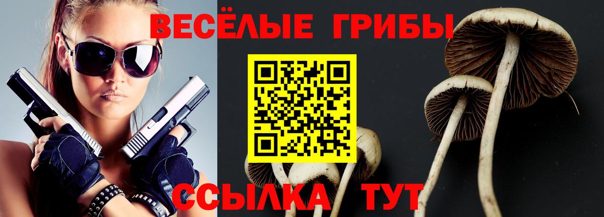Псилоцибиновые грибы MAGIC MUSHROOMS Бор